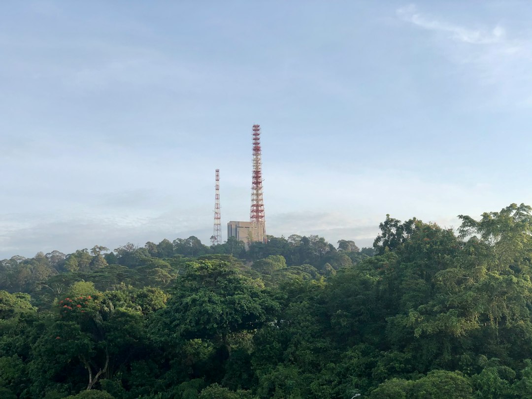 Red and white tower surrounded by green trees during daytime