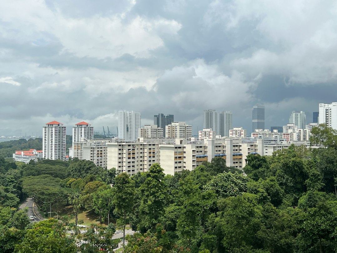 A city with trees and buildings
