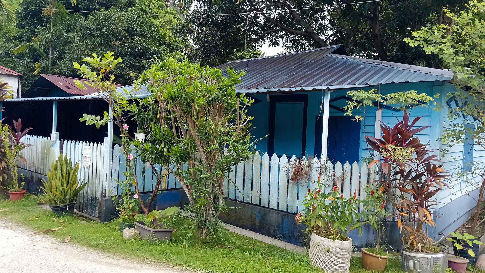 A blue house with a zinc roof located in Kampong Lorong Buangkok. The house seems to be recently repainted. The walls of the house are seemingly wooden