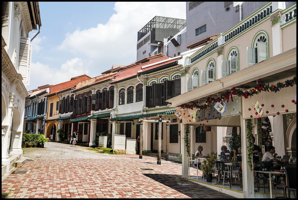 216 - Singapore Terrace Houses=