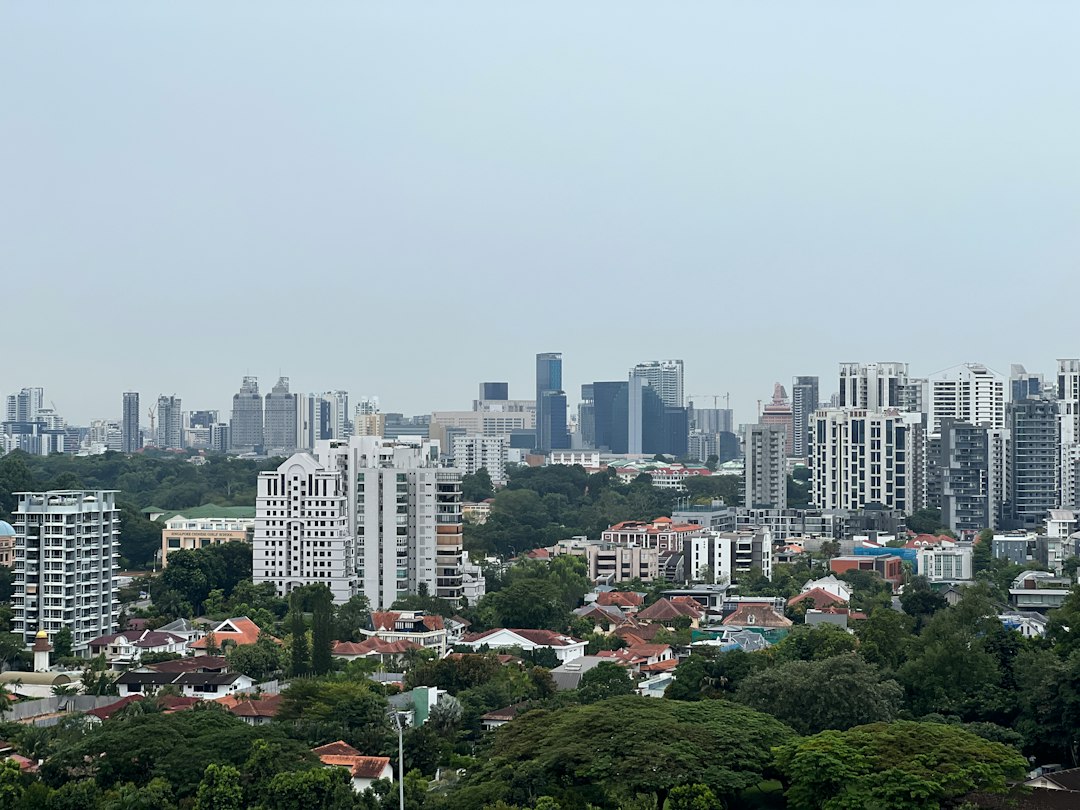 A city with many buildings