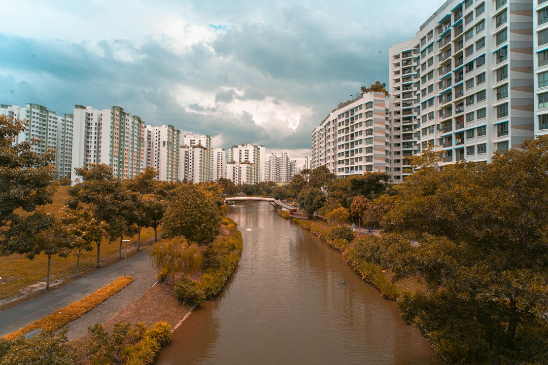 River between green trees and high rise buildings during daytime